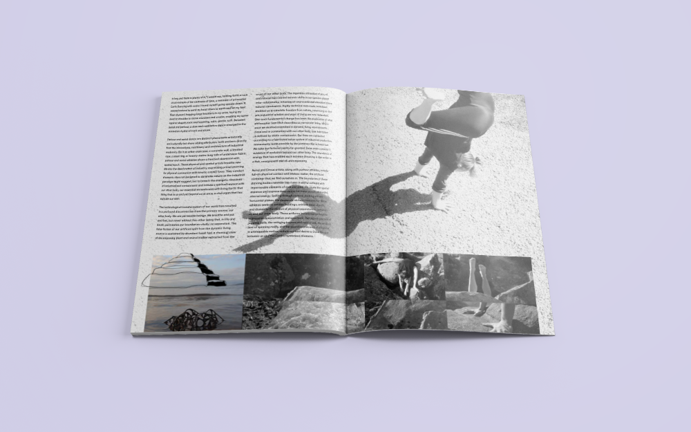 Handstandpress magazine