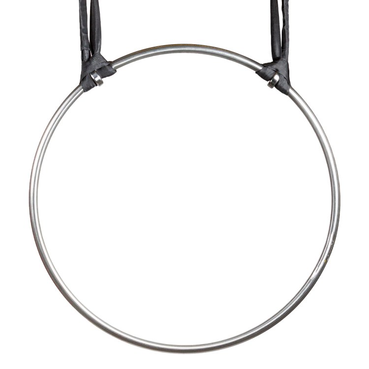 Aerial hoop, Lyra, stainless steel, ring only