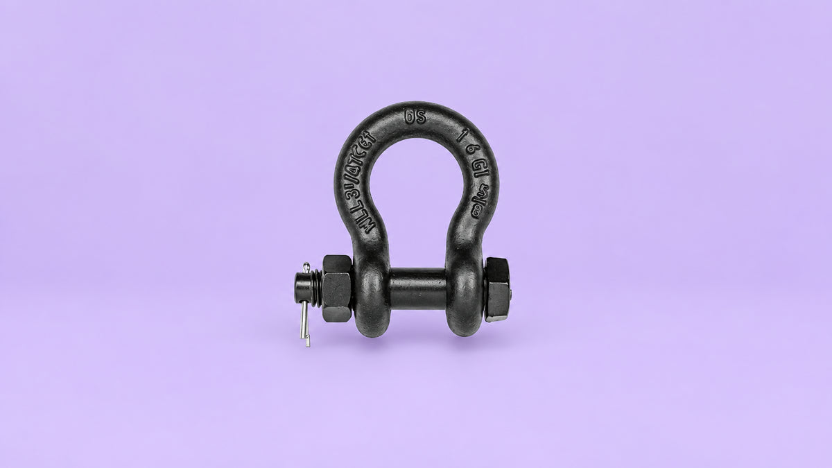 Shackle with screw bolt and pin