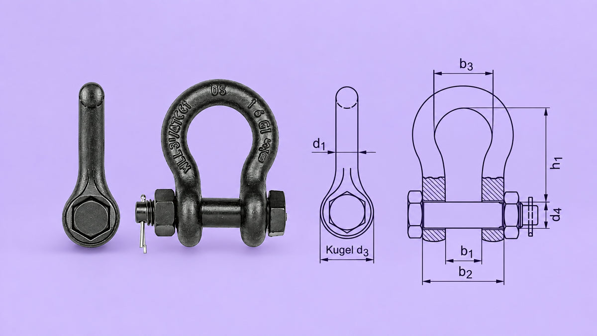 Shackle with screw bolt and pin