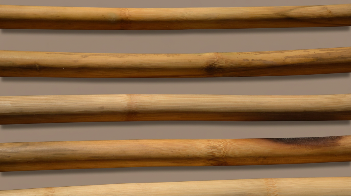 Handstand Mobility Stick