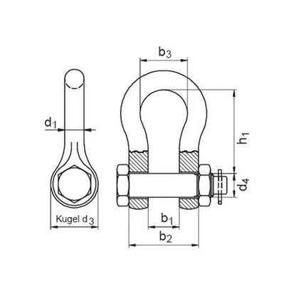 Shackle with screw bolt and pin