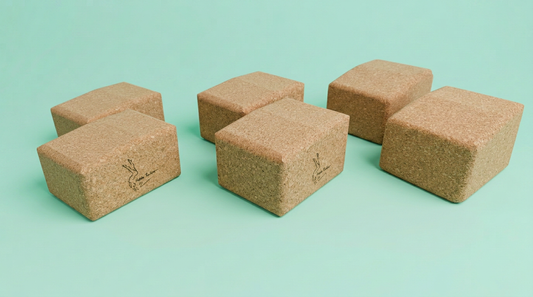 Natalie's cork handstand blocks